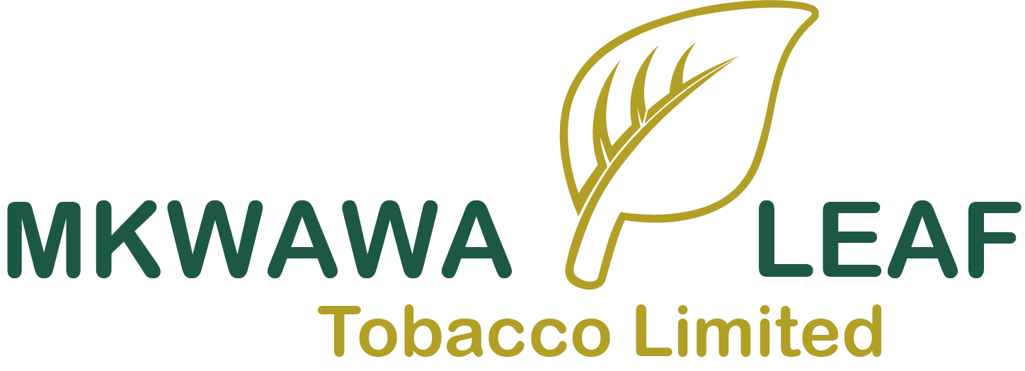 Mkwawa Leaf Tobbaco
